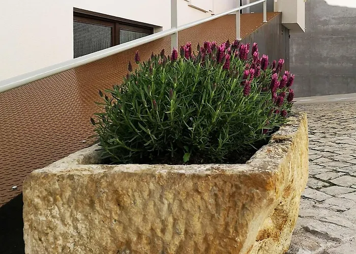 Casa de Férias Casa Do Adro, Casaspensadas